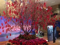 -广州天河希尔顿酒店