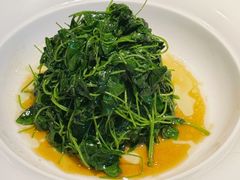 -老吉堂上海本帮菜(工体店)