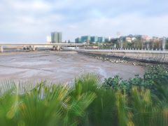 -海堤纪念公园
