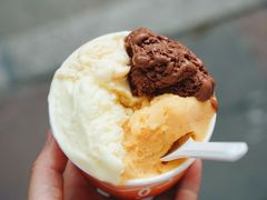 -Dip in Gelato(富民路店)