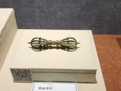 -张掖大佛寺景区