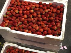 -西郊国际农产品交易中心