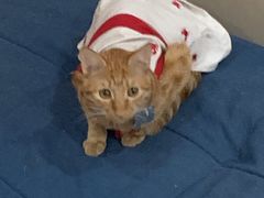 -微光私人影院(巴南万达店)