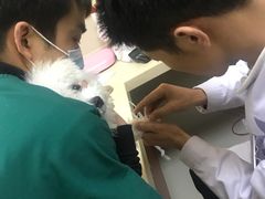 -艾贝尔宠物医院 ·内科全科(梁溪路店)