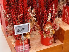 -盒马X会员店(王府井奥莱UP TOWN店)