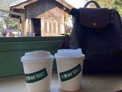 -大青树咖啡(大理古城店)