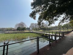 -月湖风景区