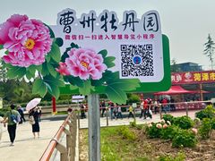 -曹州牡丹园
