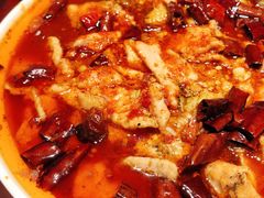 水煮肉片-老厨家(友谊路总店)