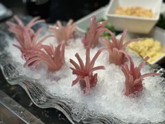 火箭鱿鱼-大妙火锅·非物质文化遗产(东郊记忆店)