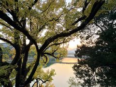 -蒋氏故居