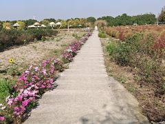 -嘉北郊野公园
