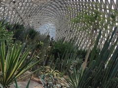 -鑫花溪牛肉米粉(天山店)