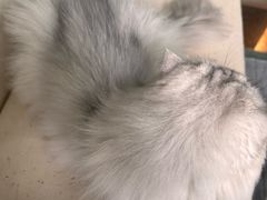 -小时光咖啡馆(北锣鼓巷店)