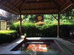 -庐山上汤温泉度假村