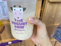 冰镇甜酒-运栋天马牛肉饼(林科大店)