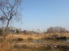 -长广溪湿地公园