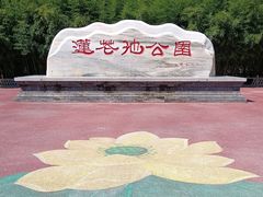 -莲花池公园