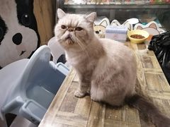 -小时光咖啡馆(北锣鼓巷店)