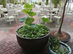 -813芭依珊 BAESAn(皇冠十畝地店)