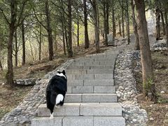 -北京凤凰岭