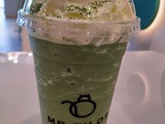 -飞行喵MR PILOT|猫舍·猫咖(静安大融城店)
