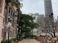 -香港大学