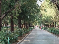 -北京市劳动人民文化宫(太庙)
