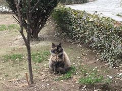 -西安化觉巷清真大寺