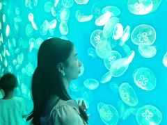 -江和美海洋公园