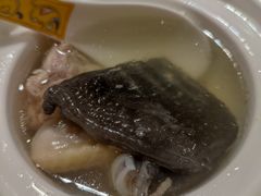 -席家花园(巨鹿花园店)