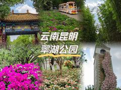-翠湖公园
