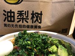 -油梨树AVOCADO TREE(嘉里中心店)
