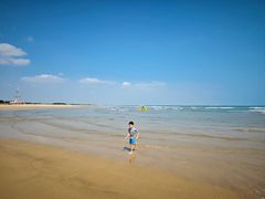 -日照海滨国家森林公园