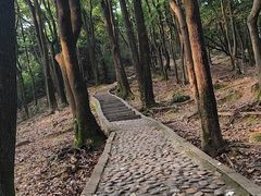 -火炉山森林公园