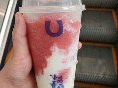 -春丽小马(济南恒隆广场店)
