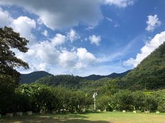 -广州市石门国家森林公园