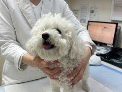 -美联众合动物医院·24h转诊中心