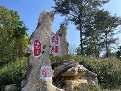 -广西壮族自治区药用植物园