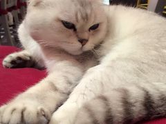 -MIKAKU(万达广场上海宝山店)