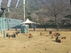 -无锡动物园·太湖欢乐园