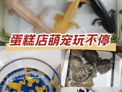 -CAKE BOSS 蛋糕老板(北京世纪金源购物中心)