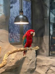 -Zoolung Zoolung动物主题公园(海信广场店)