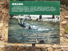-湖洞水自然风景区