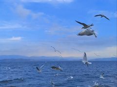 -大理洱海
