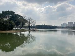 -昆山城市生态森林公园