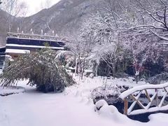 -秦岭风景区