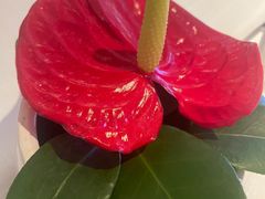 -醉辉皇(桃源π商业广场店)