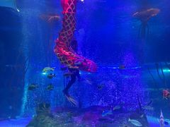 -沈阳海洋探索中心