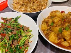 -壹盏灯(惠农店)